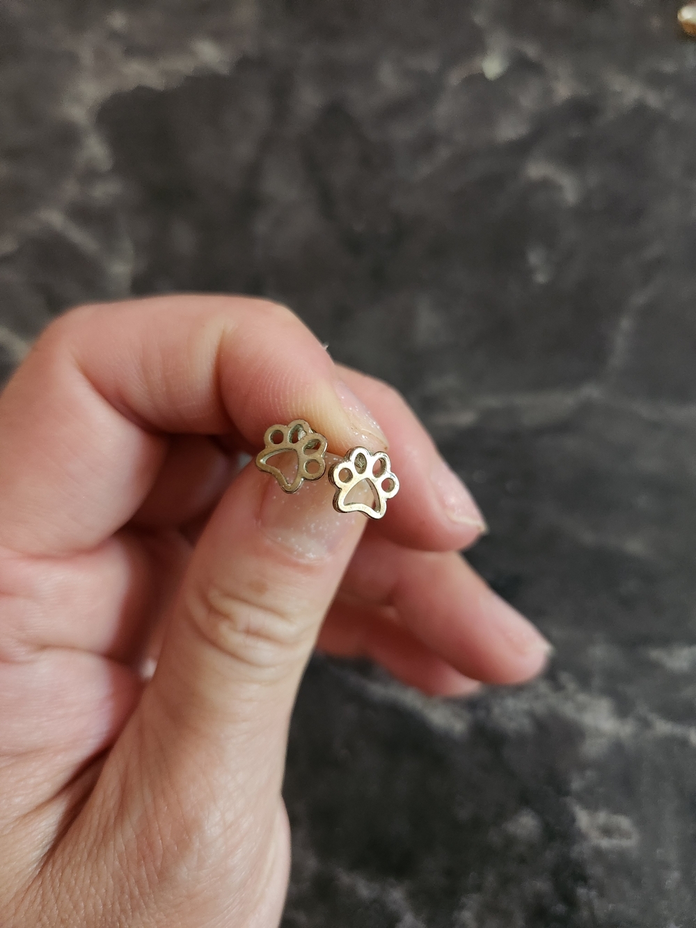 Paw Print Stud Earrings - Gold Tone